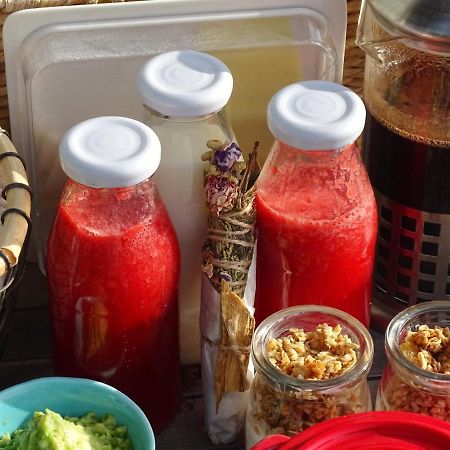 Palo Santo Bed & Breakfast ปิชิเลมู ภายนอก รูปภาพ
