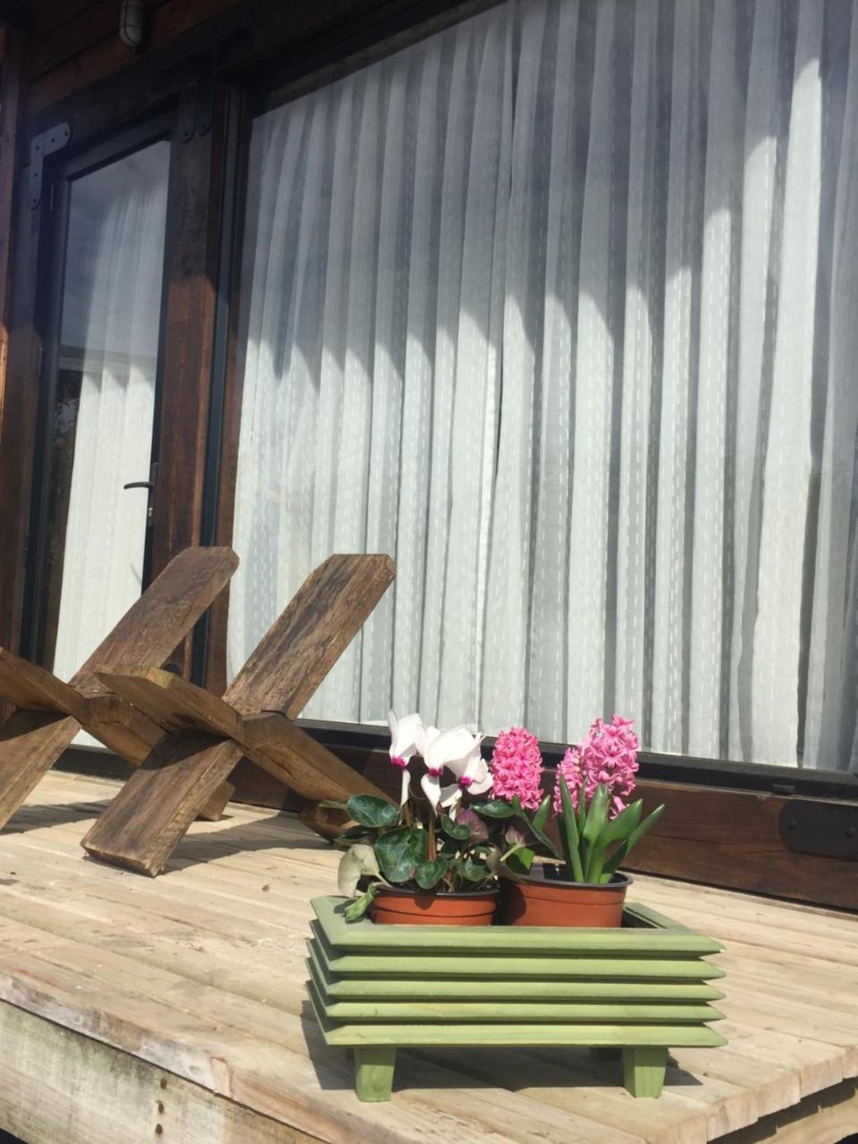 Palo Santo Bed & Breakfast ปิชิเลมู ภายนอก รูปภาพ