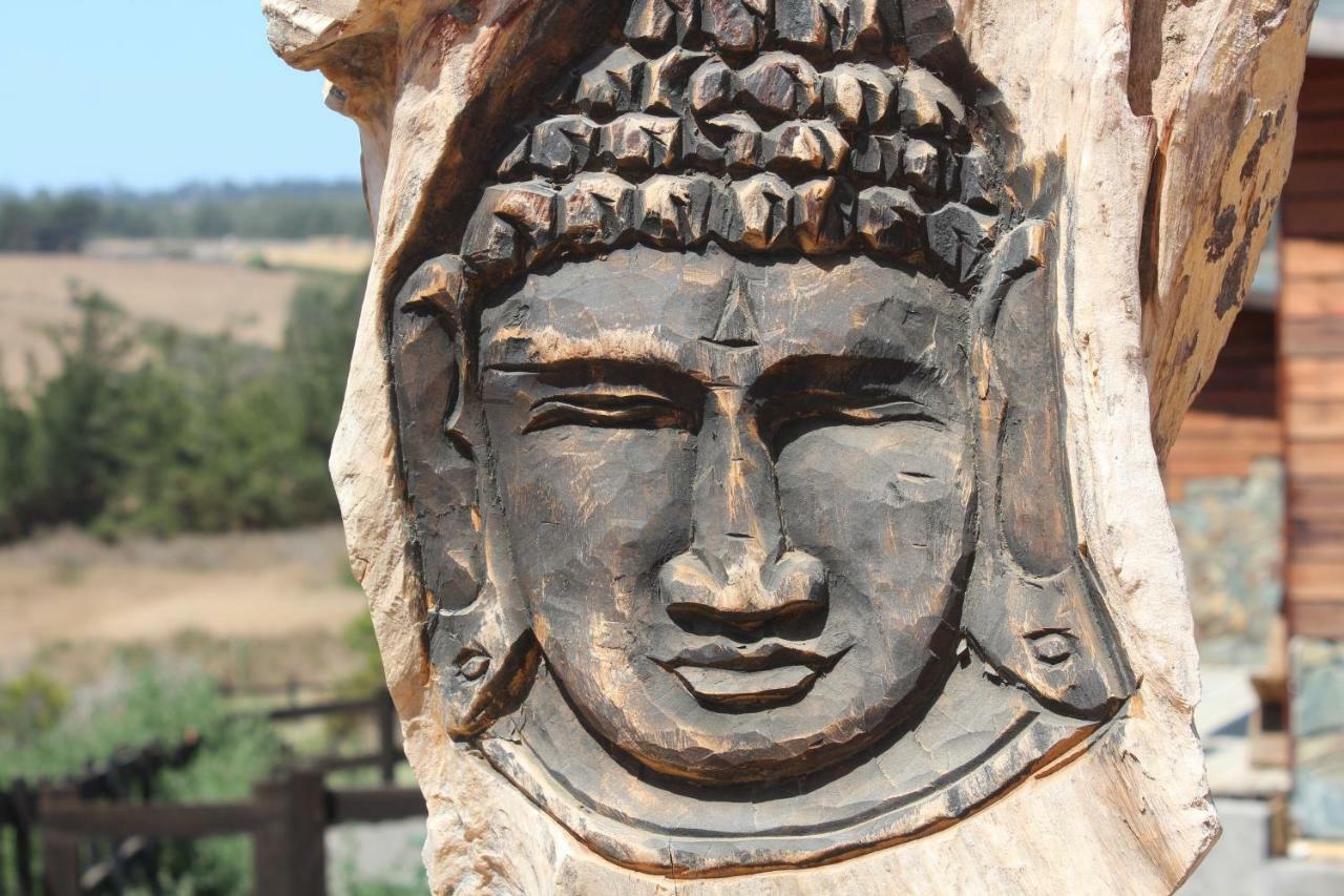 Palo Santo Bed & Breakfast ปิชิเลมู ภายนอก รูปภาพ