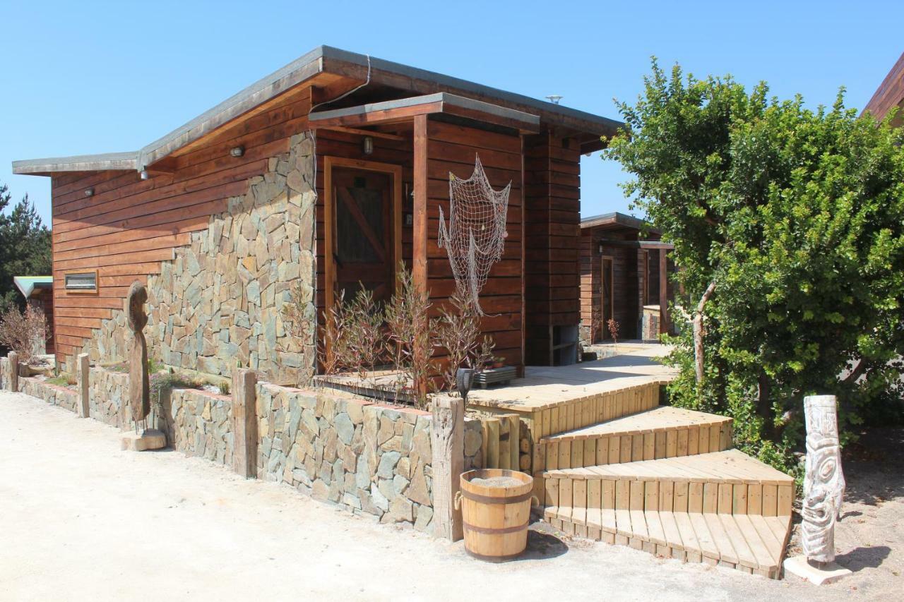 Palo Santo Bed & Breakfast ปิชิเลมู ภายนอก รูปภาพ