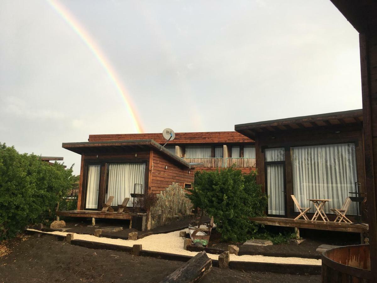Palo Santo Bed & Breakfast ปิชิเลมู ภายนอก รูปภาพ